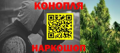 индика Новокубанск