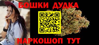 индика Новокубанск