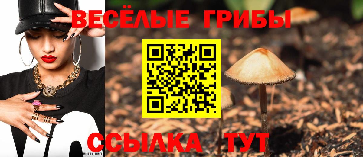 Галлюциногенные грибы ЛСД  Вход с VPN  Тара 