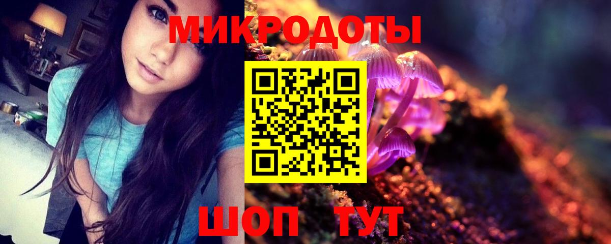 Псилоцибиновые грибы мицелий Тара